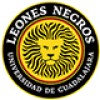 Leones Negros